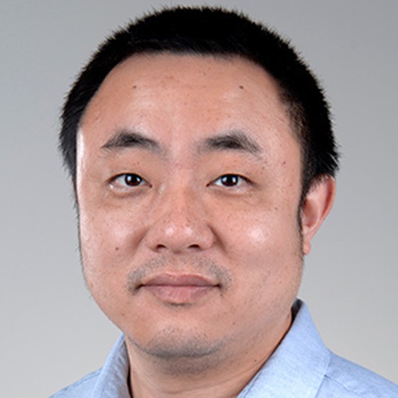 Tao Yang, PhD